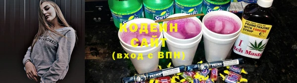 молекула духа Надым